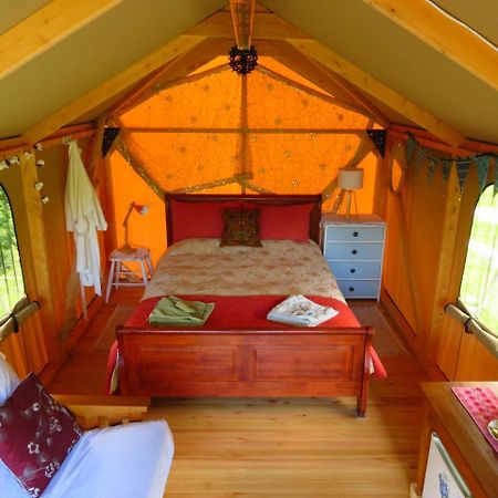 Omarama Oasis - Permaculture Glamping Hotell Pohara Eksteriør bilde