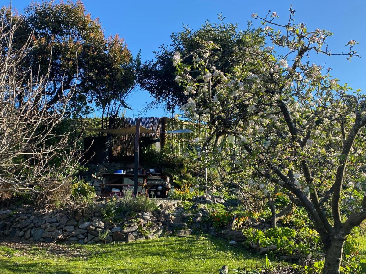 Omarama Oasis - Permaculture Glamping Hotell Pohara Eksteriør bilde